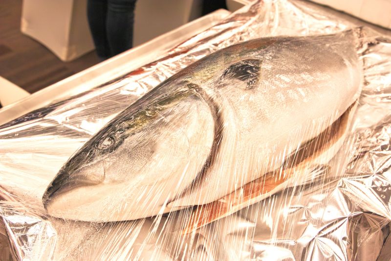 kết nối thương mai về hải sản JETRO