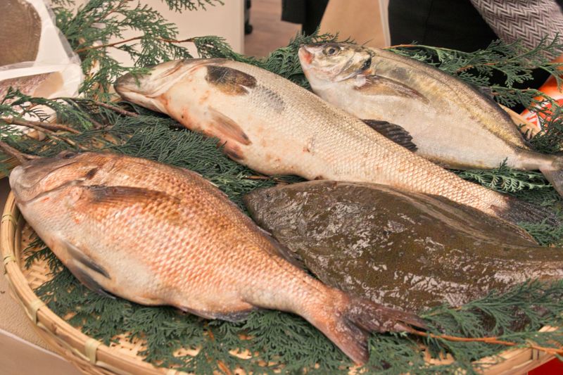 kết nối thương mại về hải sản JETRO