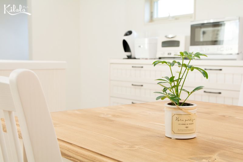 căn hộ phong cách Nhật Bản căn hộ phong cách Nhật Bản