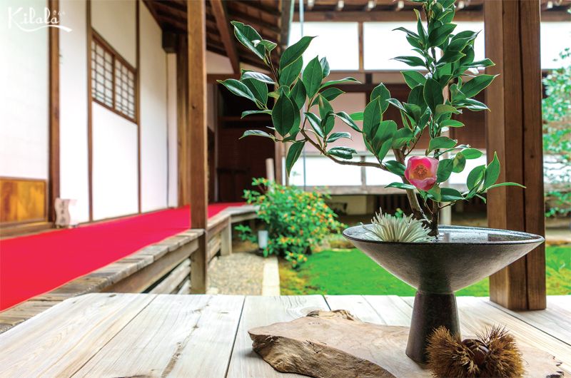 nghệ thuật Ikebana Nhật Bản