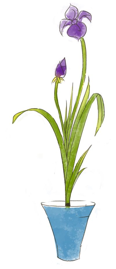 phong cách Shoka trong Ikebana