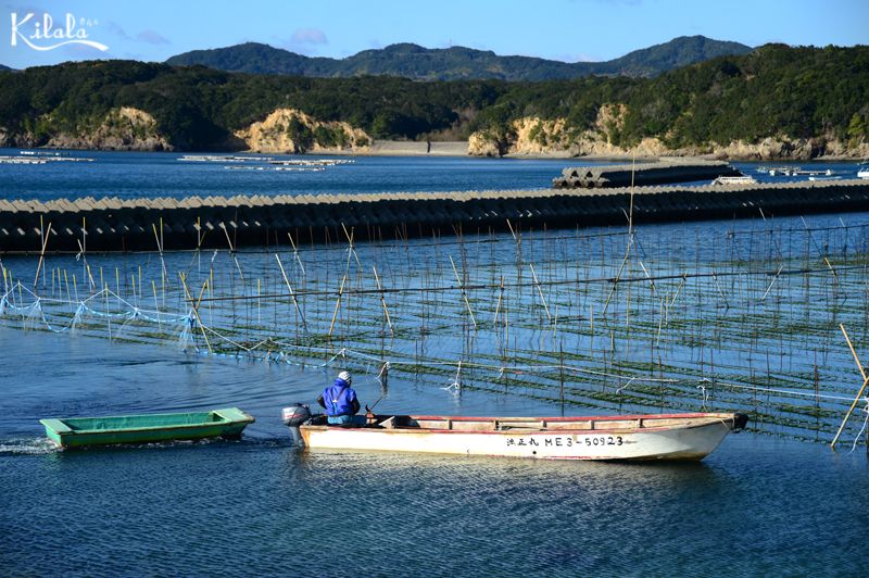 hải nữ ama làng Osatsu hải nữ ama làng Osatsu