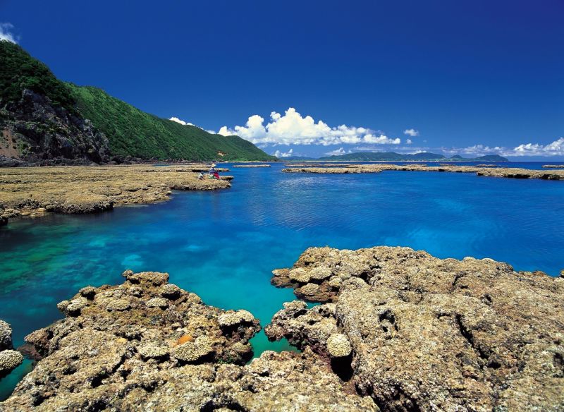 đảo amamioshima, kagoshima