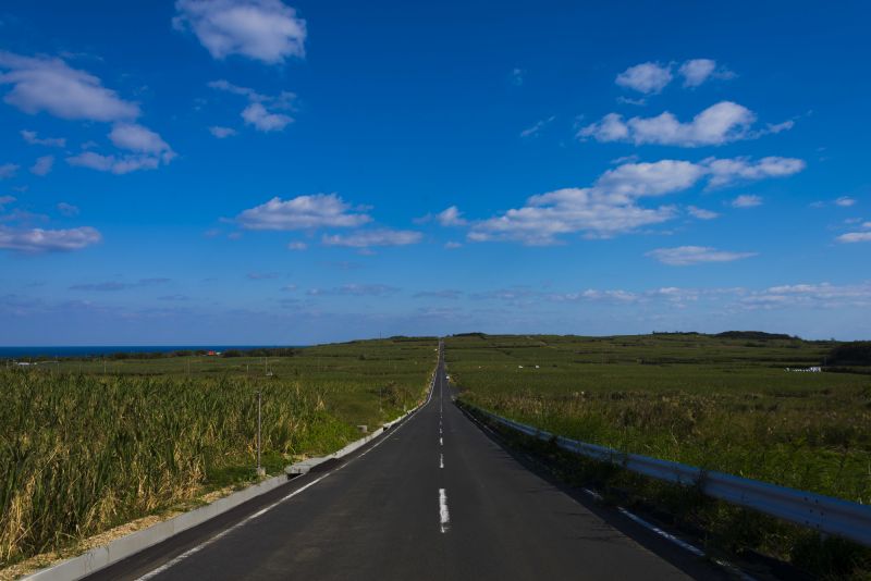 đào kikajima, kagoshima