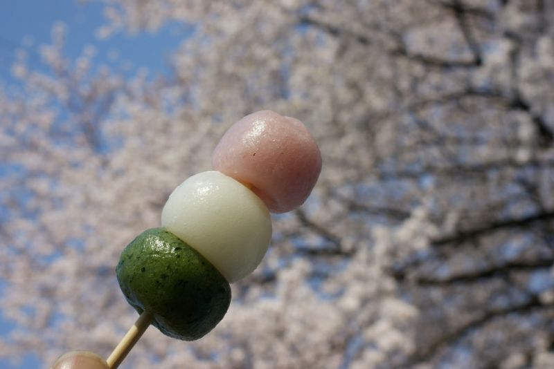 cách ngắm hoa hanami như người nhật bản cách ngắm hoa hanami như người nhật bản