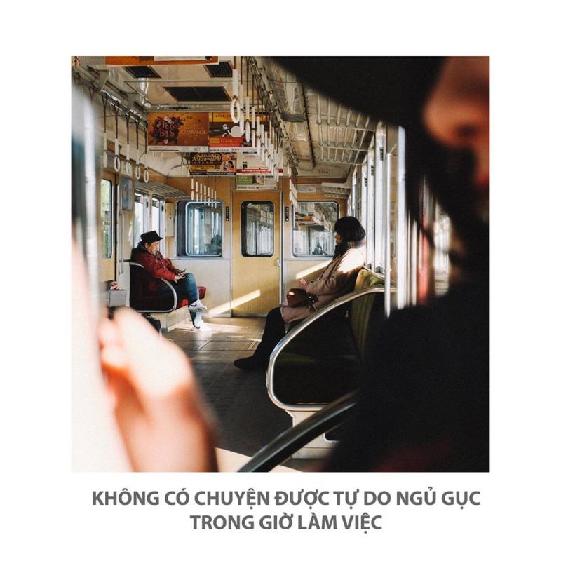 17757316_1846933548913761_6862308443676867132_n.jpg 17757316_1846933548913761_6862308443676867132_n.jpg