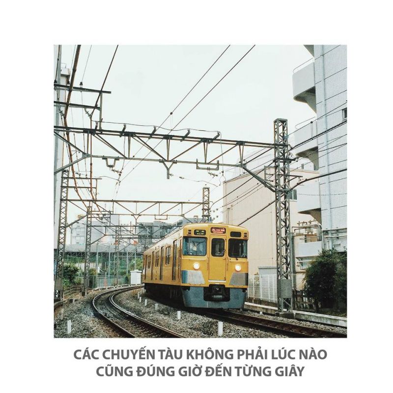 17903756_1846933415580441_3195785647042361513_n.jpg 17903756_1846933415580441_3195785647042361513_n.jpg