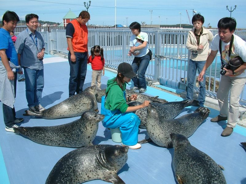 Trung tâm Okhotsk Tokkari