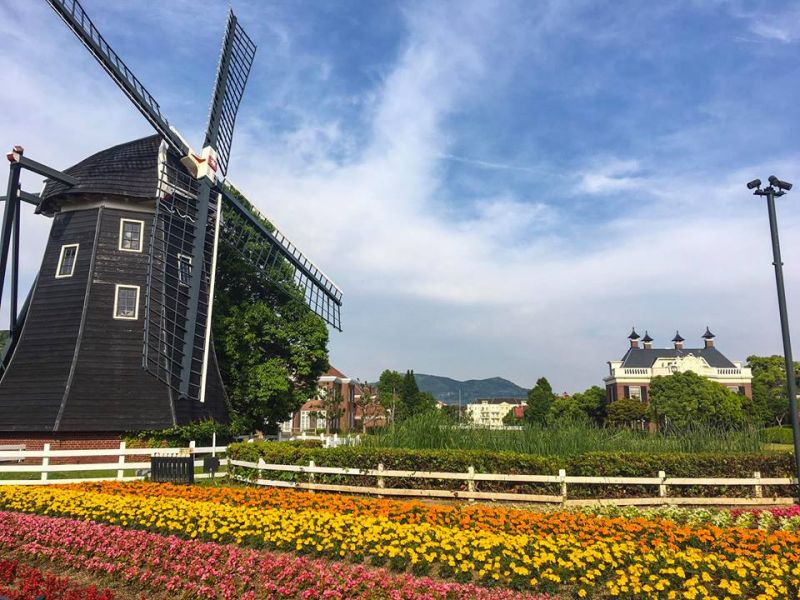Museum Molen – vườn hoa tulip với những cối xay gió khổng lồ