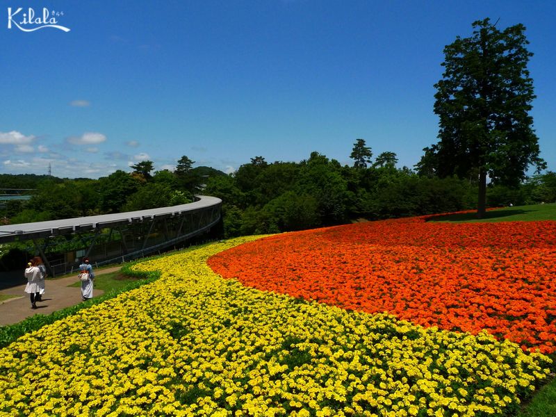 Tottori Hanakairo Tottori Hanakairo
