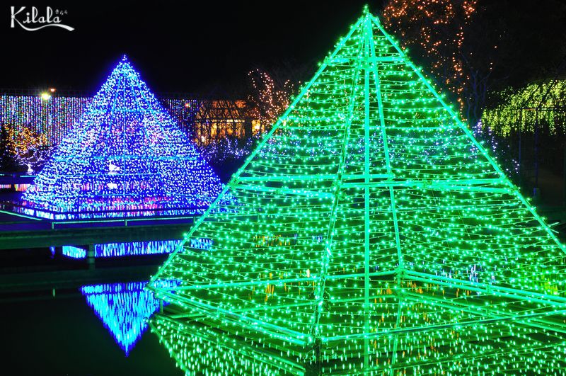 Vườn hoa Ashikaga Vườn hoa Ashikaga