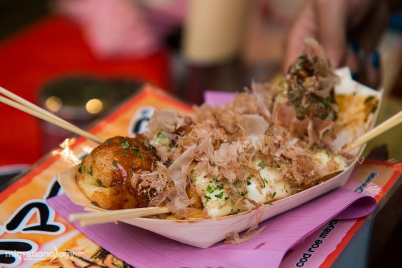 migrationogy.jpg migrationogy.jpg