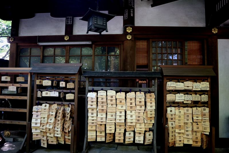 anh%2011.jpg anh%2011.jpg