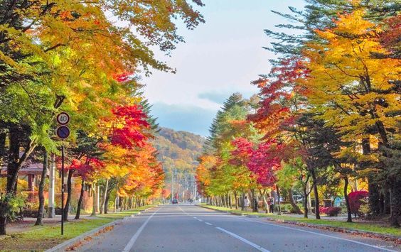 mùa thu cây cối dần chuyển sang màu đỏ, vàng và cam mùa thu cây cối dần chuyển sang màu đỏ, vàng và cam