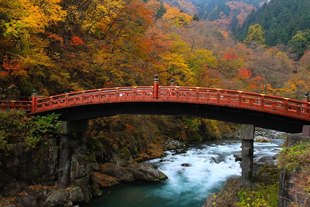 đừng nói Kekko khi chưa thấy Nikko đừng nói Kekko khi chưa thấy Nikko