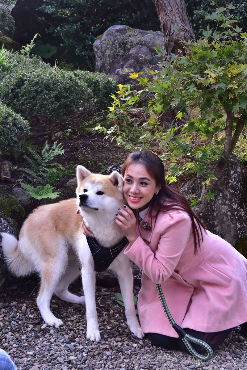 du lịch kỳ thú akita 7