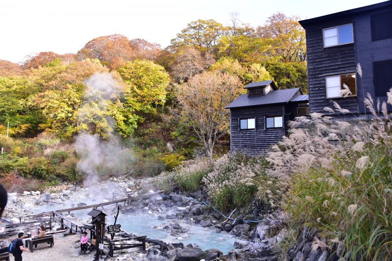 du lịch kỳ thú akita 12