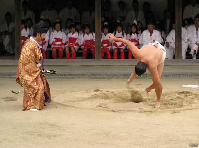 lễ hội Sumo Solo (Hitori Sumo Matsuri) lễ hội Sumo Solo (Hitori Sumo Matsuri)