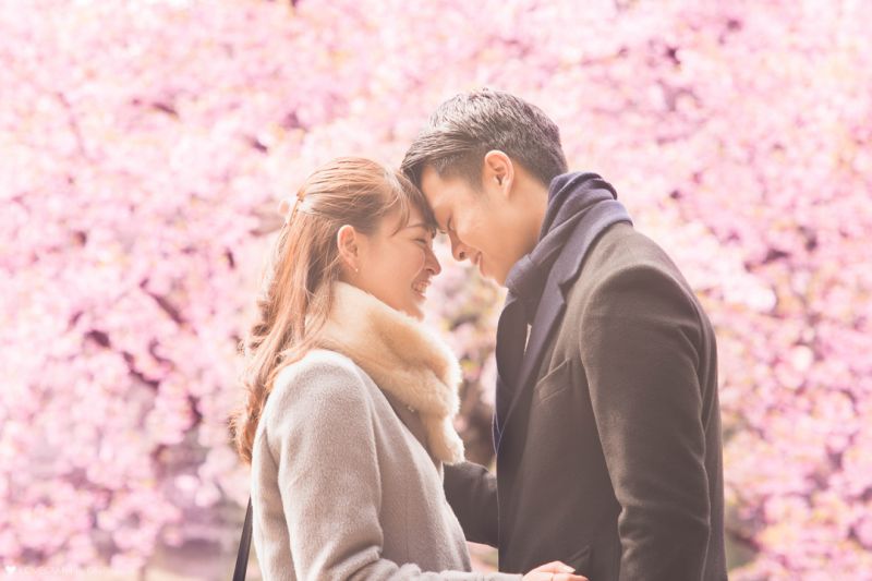 tsundere 6 tsundere 6