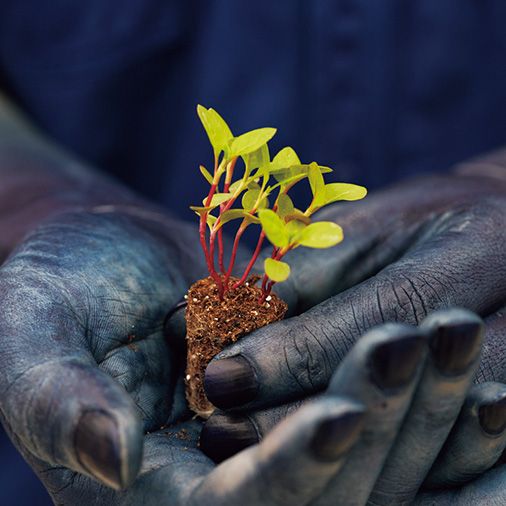 bàn tay màu chàm 10 bàn tay màu chàm 10