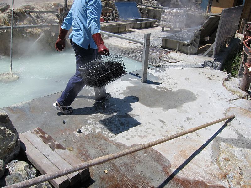 ớp vỏ trứng chuyển thành màu đen ớp vỏ trứng chuyển thành màu đen