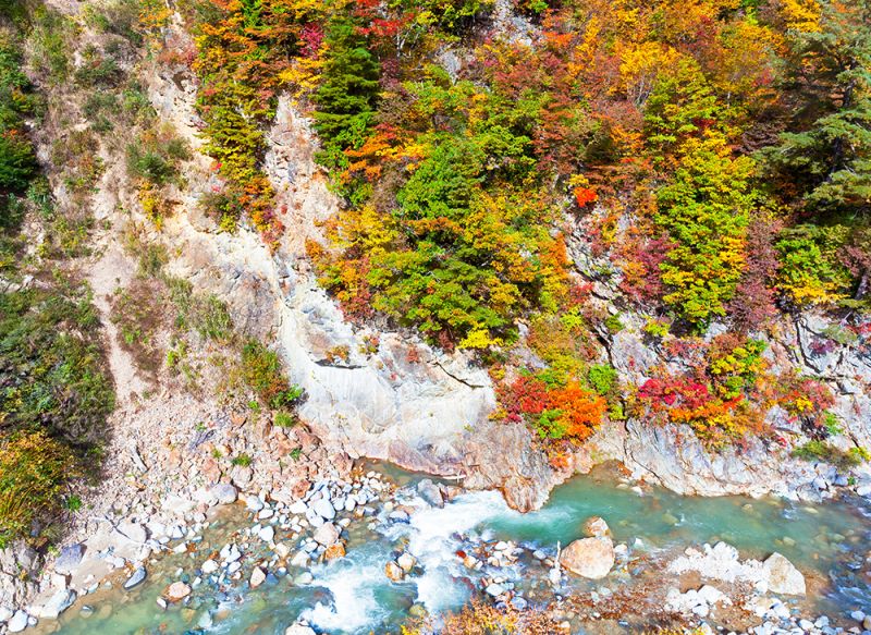 mùa thu lãng mạn từ trên cao