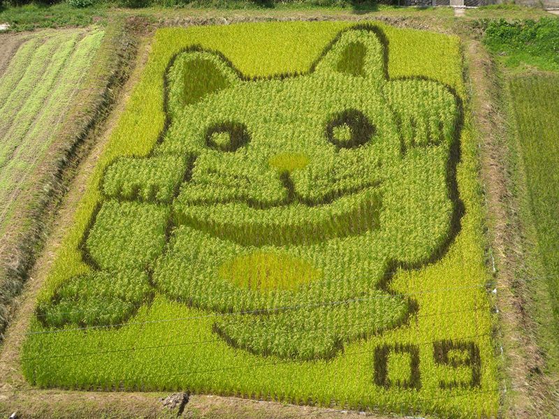 dựa trên bản phác thảo cuối cùng