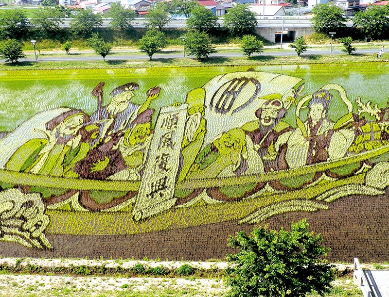 Nghệ thuật vẽ tranh trên đồng ruộng độc đáo của Nhật Bản