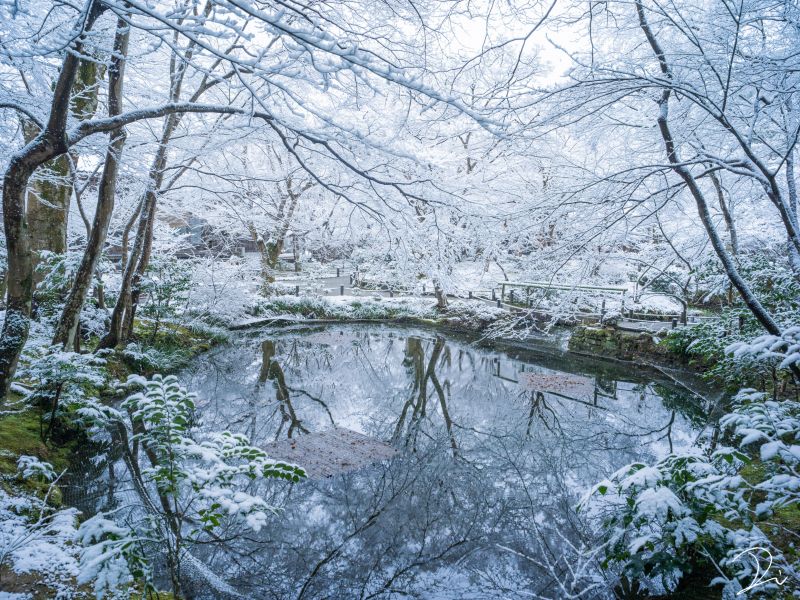Đền Thần đạo mùa đông