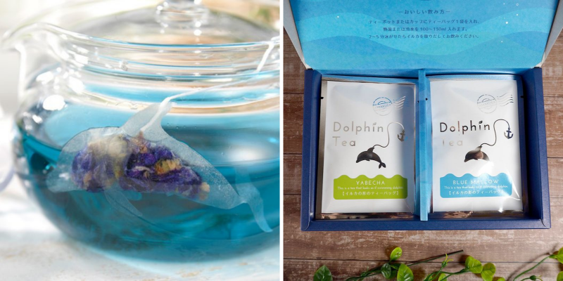 ocean tea bag đại dương thu nhỏ bên trong tách trà ocean tea bag đại dương thu nhỏ bên trong tách trà