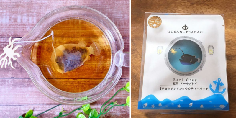 cá quỷ anglerfish cá quỷ anglerfish