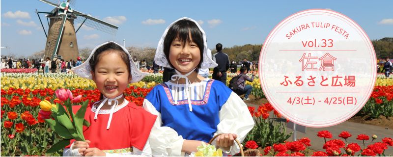 bông hoa tulip khoe sắc tại Sakura Tulip Festa 2021 bông hoa tulip khoe sắc tại Sakura Tulip Festa 2021