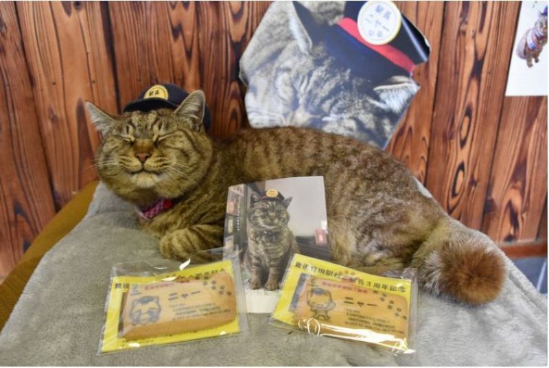 chú mèo Nya kỷ niệm 3 năm nhậm chức trưởng ga