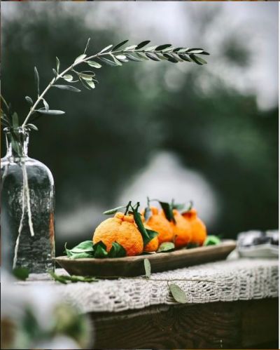 giống cây bị chối bỏ