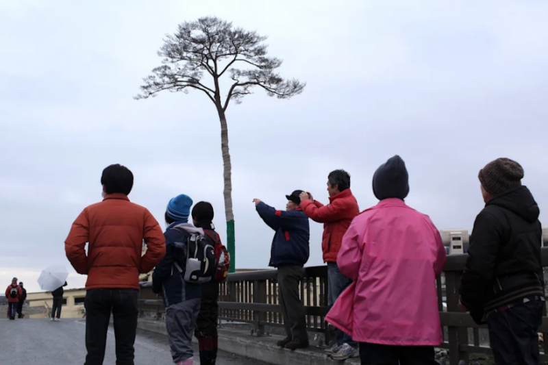 đây cũng là địa điểm thu hút nhiều khách du lịch đến thăm