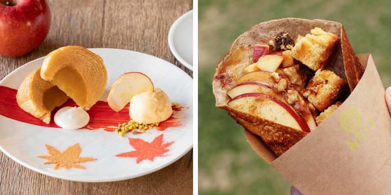 thư viện trong rừng thư viện trong rừng