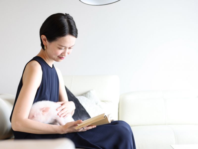 khách sạn thú cưng khách sạn thú cưng