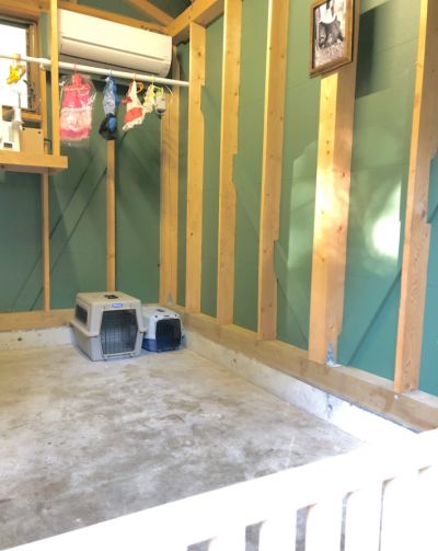 khách sạn thú cưng khách sạn thú cưng