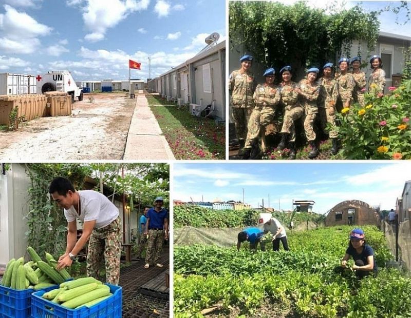 平和維持活動だけでなく、復興支援や生鮮食料品などの生活必需品の供給にも携わる　ⓒ Thoi Dai