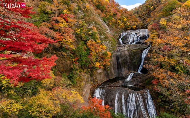 thac-Fukuroda-ibaraki thac-Fukuroda-ibaraki