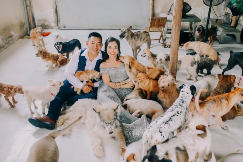 見捨てられた約350匹の犬、猫、ウサギ、カメなどを世話するグエン・クオック・カンさんとトラン・ユェン・ニューさん夫妻　ⓒ Vn Express