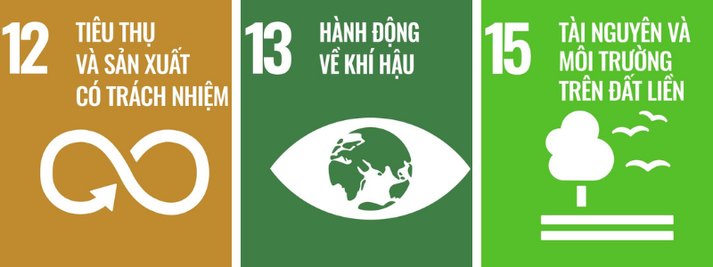 SDGs