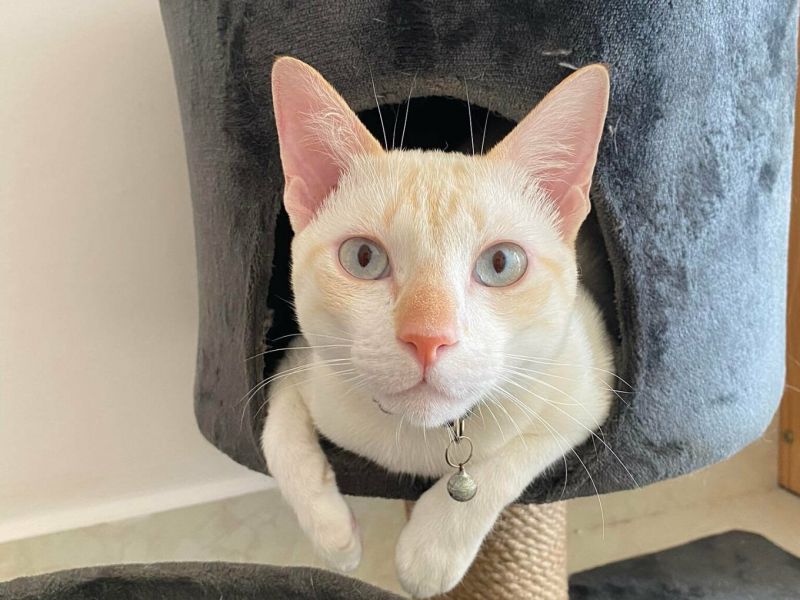 ⓒ Vn Express ⓒ Vn Express