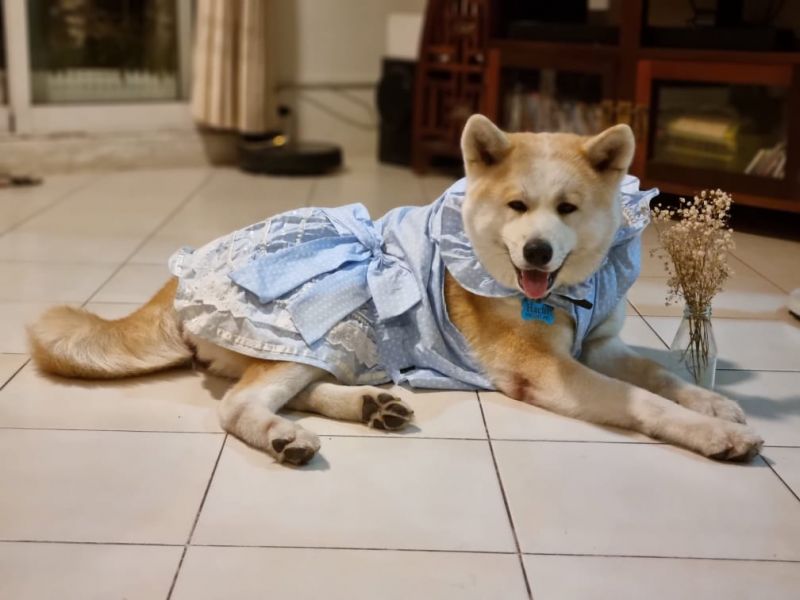 ⓒ Vn Express ⓒ Vn Express