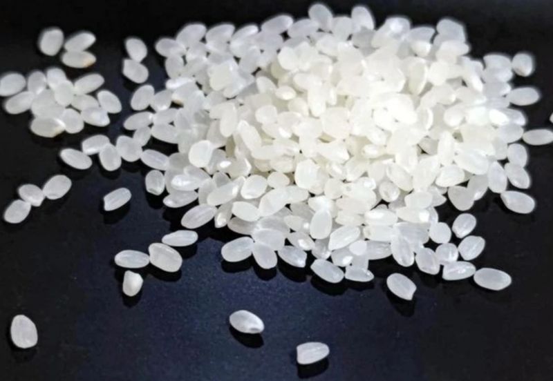 gao-bien-doi-gen-2 gao-bien-doi-gen-2