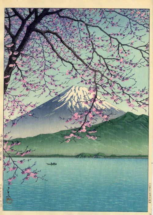 núi Phú Sĩ và hoa anh đào núi Phú Sĩ và hoa anh đào