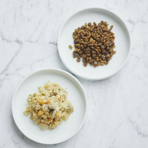 thức ăn khô thức ăn khô