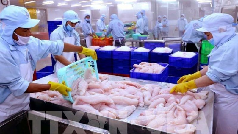 thủy sản Việt Nam thủy sản Việt Nam