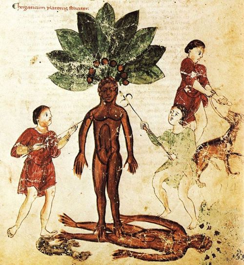 trung cổ trung cổ