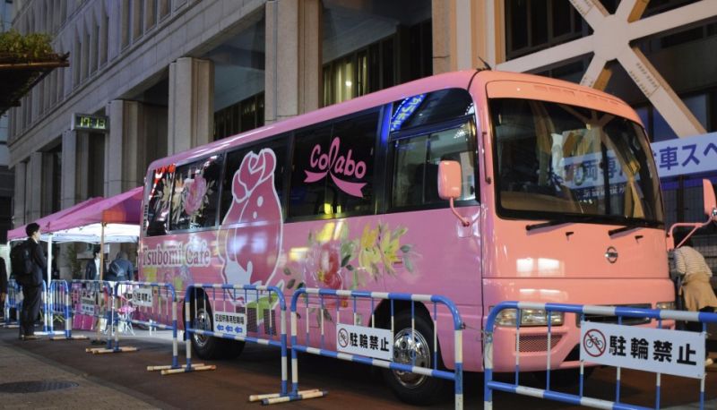 xe buýt hỗ trợ phụ nữ xe buýt hỗ trợ phụ nữ